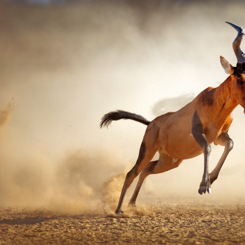 Namibia Querbeet Rundreise